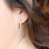 Splendore Hoops